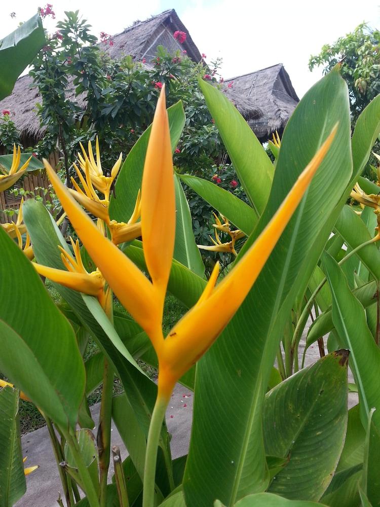 Bird Of Paradise Bungalows แกบ ภายนอก รูปภาพ